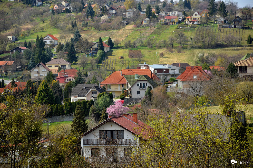 Zalaegerszeg