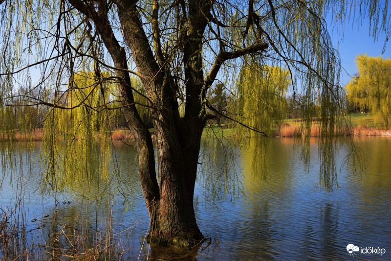 Zalaegerszeg Gébárti-tó