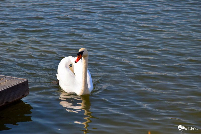Zalaegerszeg Gébárti-tó