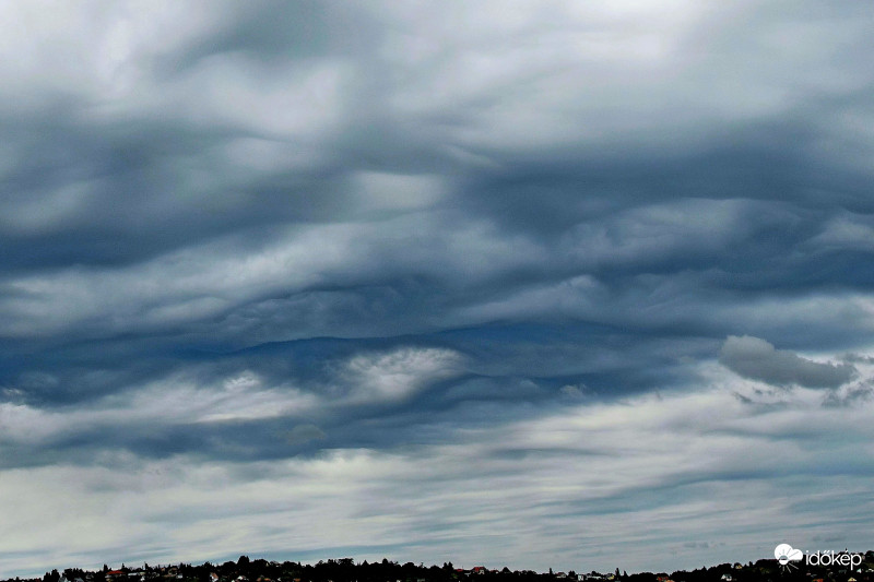 Undulatus asperatus?