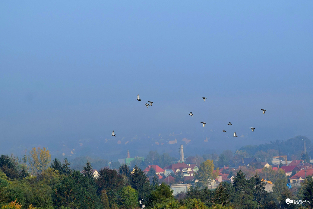 Zalaegerszeg