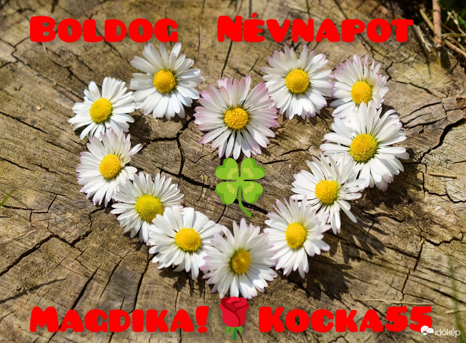 BOLDOG NÉVNAPOT!