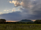szgyongyos fotója