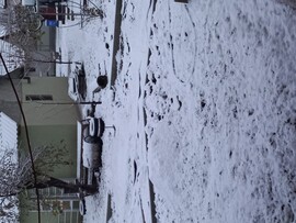 Tiszanána