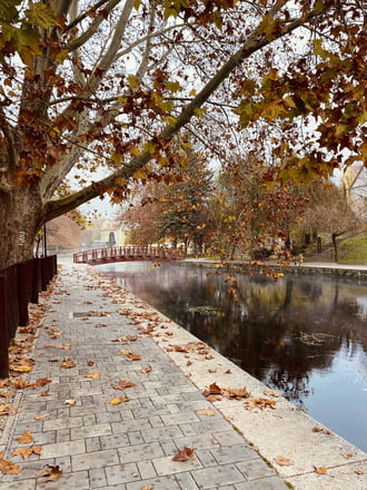 Novemberi tópart II.