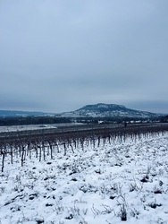 Havas szőlősorok, Szent György-hegy