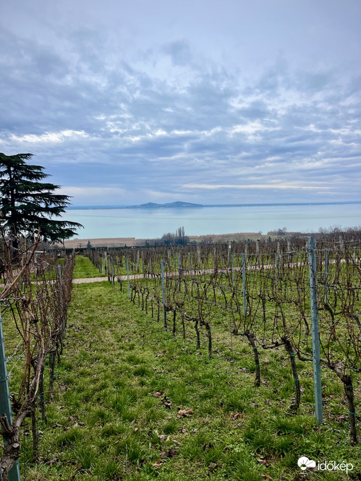 Kilátás a Folly Arborètumból (Badacsonyörs)