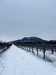 Ahogy ritkán látjuk: a havas Badacsony