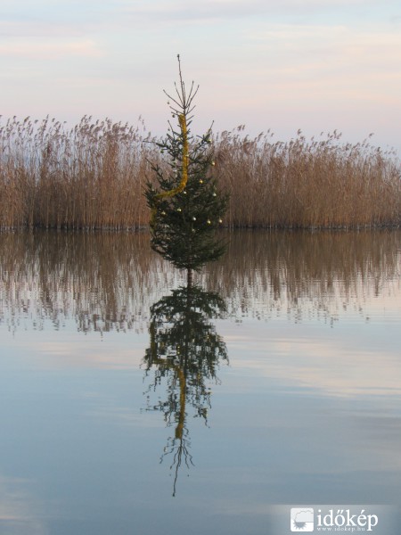 Karácsonyfa a Balatonban. :)