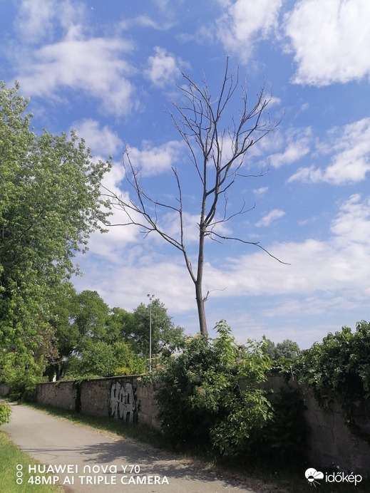 Várpalota