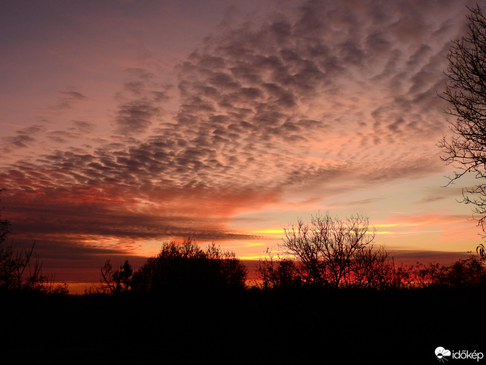 Novemberi naplente