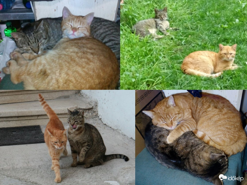 Egy örök barátság :)