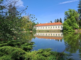 Tóparton
