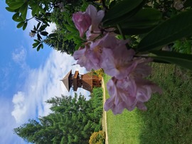 Jeli arborétum