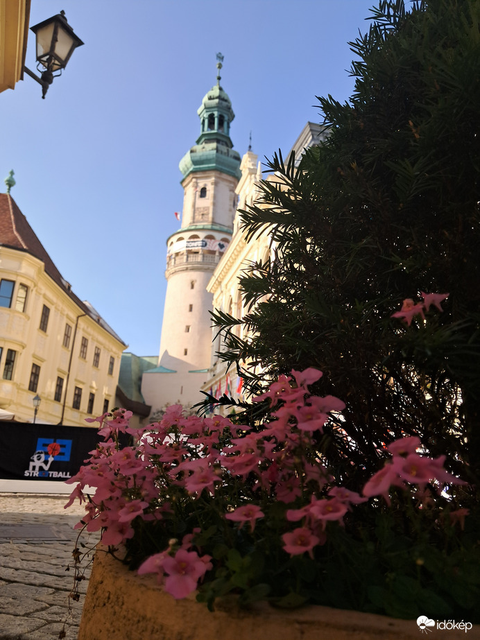 Sopron
