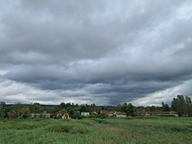 Balaton