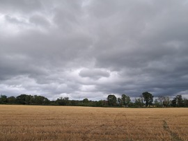 szilwa fotója