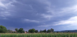 Alibánfa