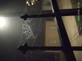 Pókháló a ködben