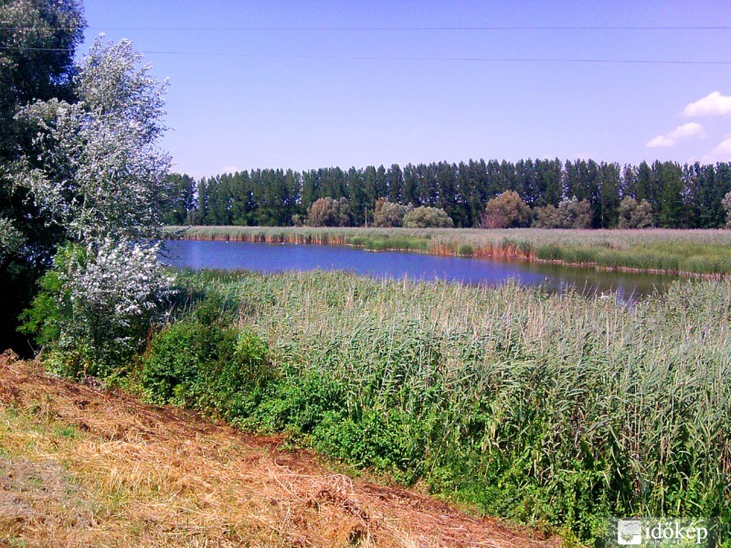 Fadd-Dombori 2011 07 16