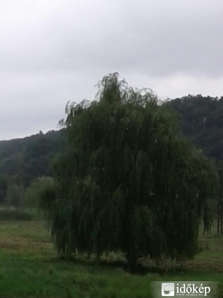 Felsőtold