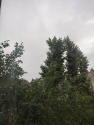 Budapest XII.ker - Városmajor