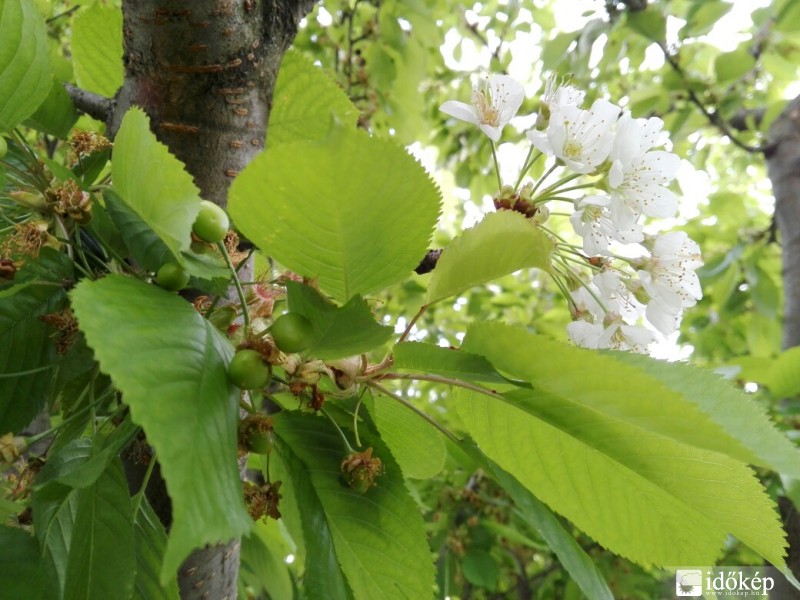 Budapest I.ker - Víziváros