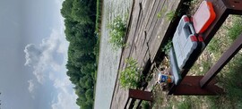 Tamási