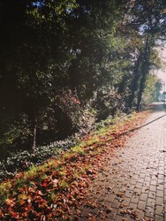 Mosonmagyaróvár