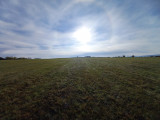 Szob