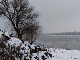 Tél a Dunánál