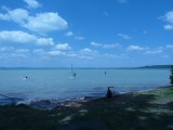 Windsurf Balaton