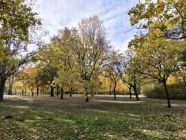 Budapest XV.ker - Pestújhely