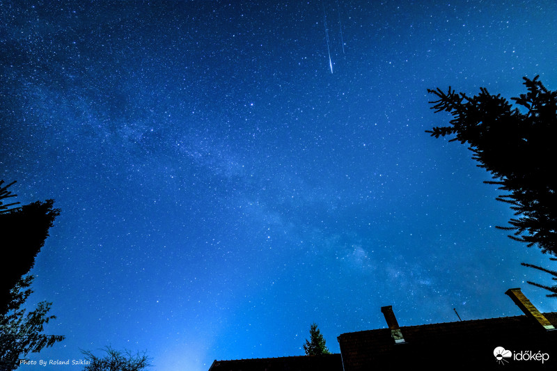 Lyridák az udvarból! 