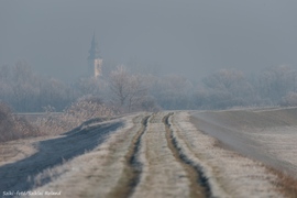 Hurrá, itt a tavasz! :-)