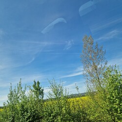 Bátaszék
