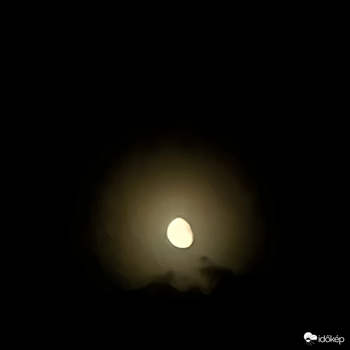 06. 08
