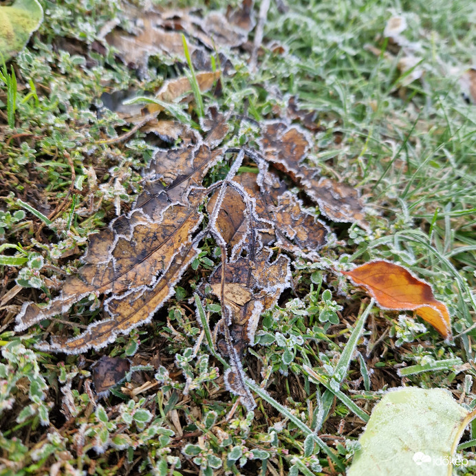 Első Fagyok Oktoberben