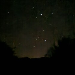 Canis Major Csillagkép