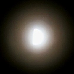 Hold Halo