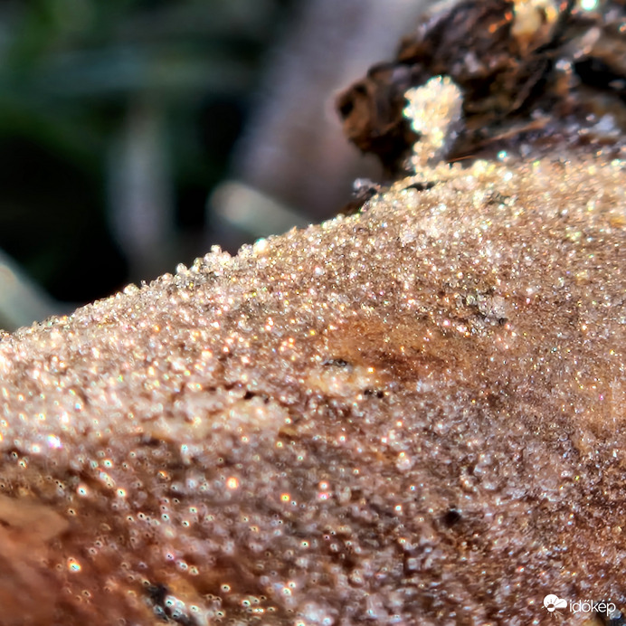 Utolsó Fagyoskodás