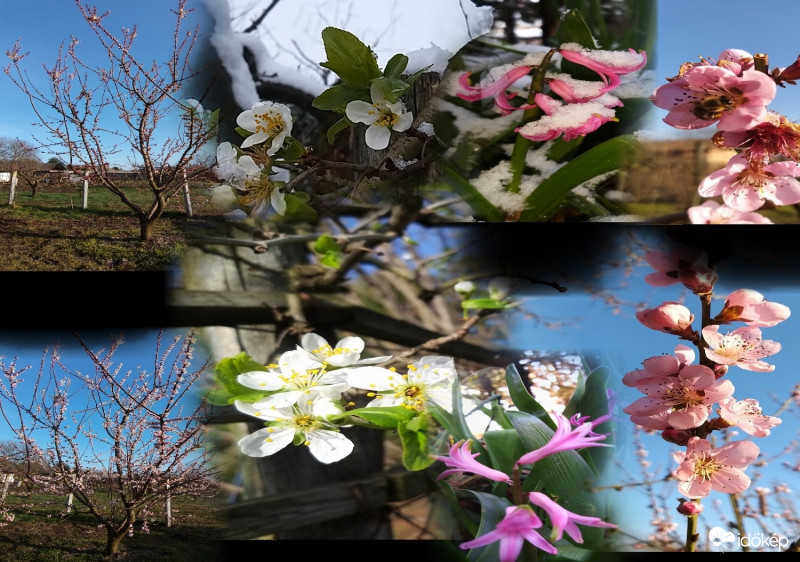 Fagy előtt És Fagy Útán