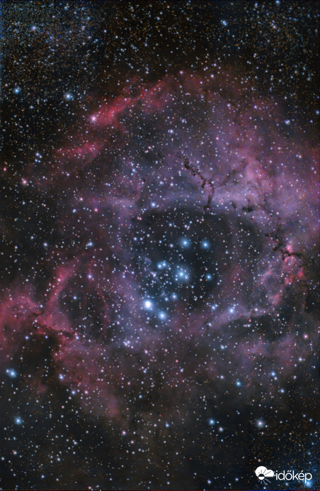 Rozette Köd (NGC2237)