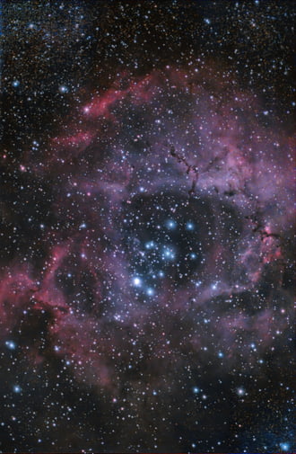 Rozette Köd (NGC2237)