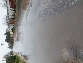 Ladánybene