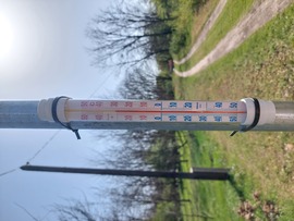 Ladánybene
