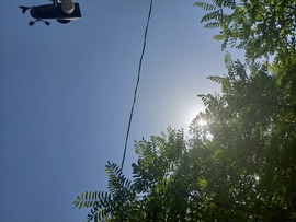 Ladánybene