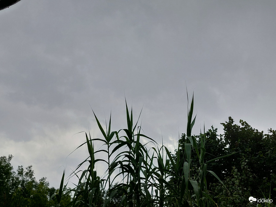 Ladánybene