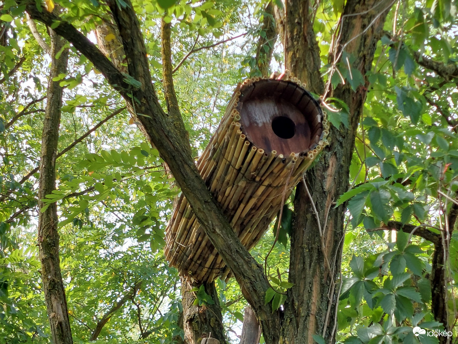 Védjük együtt a természetet 