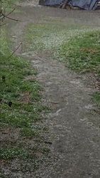 sztibike fotója